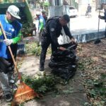 Rehabilitan parque con el programa “Haciendo Barrio con Red Ambiental” en Playa del Carmen.